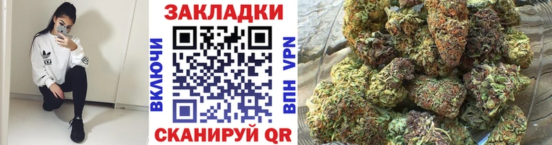 Виды наркотиков купить Подпорожье А ПВП Гашиш Конопля