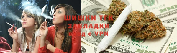 СК Медногорск