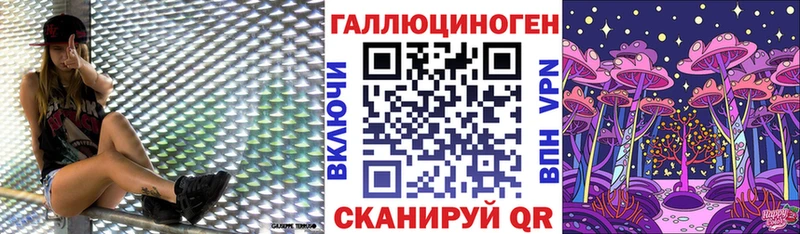 Псилоцибиновые грибы Psilocybe Подпорожье